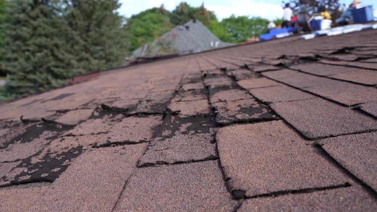 Fast & Reliable Emergency Roof Repairs in North Kingsville, OH